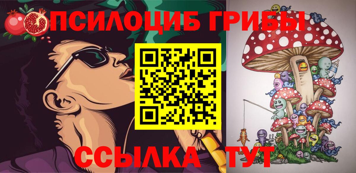 Среднеуральск  Псилоцибиновые грибы мицелий  Вход с VPN  Галлюциногенные грибы GOLDEN TEACHER 